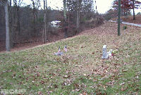 Goodwill Community Church Cemetery, Jackson Co., West Virginia