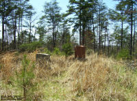 Milton Sayre Cemetery, Mason County, West Virginia