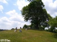 Roanoke Cemetery, Chestnut Ridge, Mason Co., WV