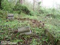 Welsh Cemetery, Mason Co., WV
